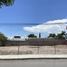  Land for sale in Torreon, Coahuila, Torreon