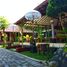 2 Schlafzimmer Villa zu verkaufen in Kasihan, Yogyakarta, Kasihan