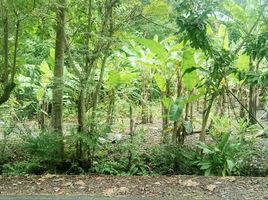  Land for sale in Bantul, Yogyakarta, Kasihan, Bantul