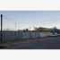  Land for rent in Torreon, Coahuila, Torreon, Coahuila