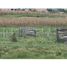  Land for sale in Cuenca, Azuay, Cuenca, Cuenca, Azuay