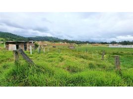  Land for sale in Cuenca, Azuay, Cuenca, Cuenca, Azuay