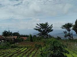  Terreno (Parcela) en venta en Padalarang, West Jawa, Padalarang, Bandung