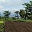  Terreno (Parcela) en venta en Padalarang, West Jawa, Padalarang, Bandung