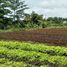  Terreno (Parcela) en venta en Padalarang, West Jawa, Padalarang, Bandung