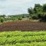  Terreno (Parcela) en venta en Padalarang, West Jawa, Padalarang, Bandung
