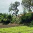  Terreno (Parcela) en venta en Padalarang, West Jawa, Padalarang, Bandung