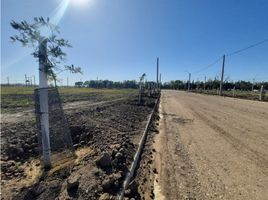  Land for sale in Colon, Cordoba, Colon