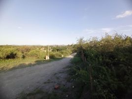  Land for sale in Punilla, Cordoba, Punilla