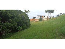  Terreno (Parcela) en venta en Jamundi, Valle Del Cauca, Jamundi