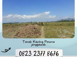  Land for sale in Jenggawah, Jember, Jenggawah