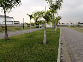  Land for sale in Samborondon, Guayas, Samborondon, Samborondon