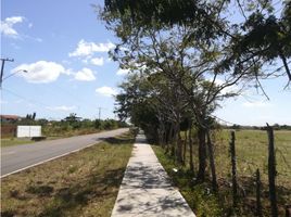  Land for sale in Cocle, Barrios Unidos, Aguadulce, Cocle