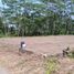  Land for sale in Bantul, Yogyakarta, Sedayu, Bantul