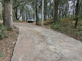  Grundstück zu verkaufen in Pachuca De Soto, Hidalgo, Pachuca De Soto