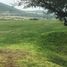  Terreno (Parcela) en venta en Huimilpan, Querétaro, Huimilpan