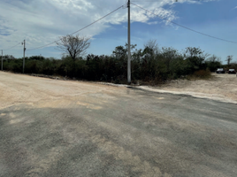  Terreno (Parcela) en venta en Merida, Yucatán, Merida, Yucatán