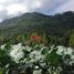  Terreno (Parcela) en venta en Sumurbandung, West Jawa, Sumurbandung, Bandung