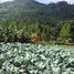  Terreno (Parcela) en venta en Sumurbandung, West Jawa, Sumurbandung, Bandung
