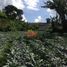  Terreno (Parcela) en venta en Sumurbandung, West Jawa, Sumurbandung, Bandung