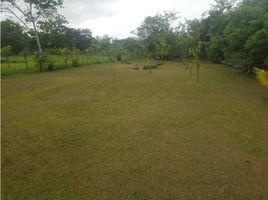  Land for sale in Anton, Cocle, Anton, Anton