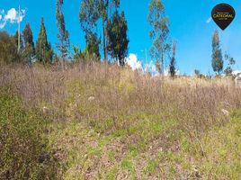  Land for sale in Canar, Javier Loyola Chuquipata, Azogues, Canar