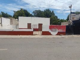  Grundstück zu verkaufen in Conkal, Yucatan, Conkal