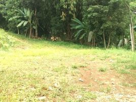  Land for sale in Ciampea, Bogor, Ciampea