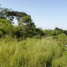  Grundstück zu verkaufen in Yaxkukul, Yucatan, Yaxkukul