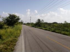  Grundstück zu verkaufen in Yaxkukul, Yucatan, Yaxkukul