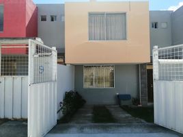 3 Bedroom House for sale in Imbabura, Cotacachi, Cotacachi, Imbabura