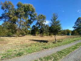  Terreno (Parcela) en venta en Araucanía, Villarrica, Cautín, Araucanía