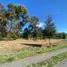  Grundstück zu verkaufen in Villarrica, Araucania, Villarrica, Cautin, Araucania