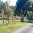  Terreno (Parcela) en venta en Araucanía, Villarrica, Cautín, Araucanía