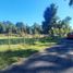  Terreno (Parcela) en venta en Araucanía, Villarrica, Cautín, Araucanía