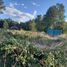  Terreno (Parcela) en venta en Araucanía, Villarrica, Cautín, Araucanía