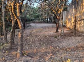 Terrain à vendre à Zapopan, Jalisco, Zapopan, Jalisco