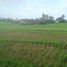  Land for sale in Selemadeg, Tabanan, Selemadeg