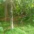  Land for sale in Selemadeg, Tabanan, Selemadeg