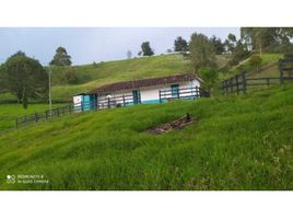  Villa zu verkaufen in Medellin, Antioquia, Medellin