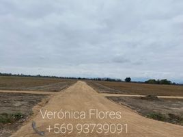  Terreno (Parcela) en venta en Chile, Peralillo, Colchagua, Libertador General Bernardo O'Higgins, Chile
