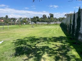  Terreno (Parcela) en venta en Tumbaco, Pichincha, Tumbaco