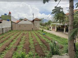  Grundstück zu verkaufen in Cimalaka, West Jawa, Cimalaka