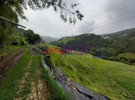  Terreno (Parcela) en venta en Manizales, Caldas, Manizales