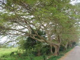  Land for sale in Centro, Tabasco, Centro, Tabasco