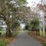  Land for sale in Centro, Tabasco, Centro, Tabasco
