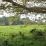  Land for sale in Centro, Tabasco, Centro, Tabasco