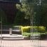 993.46 m² Office for rent in Mexico City, Miguel Hidalgo, Mexico City