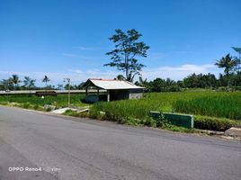  Tanah for sale in Yogyakarta, Pakem, Sleman, Yogyakarta