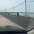  Land for sale in Manyar, East Jawa, Manyar
